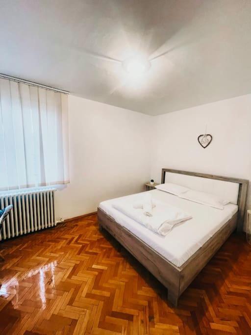 Ultracentral Big Flat Near The Opera Square P17 Timişoara Exterior foto