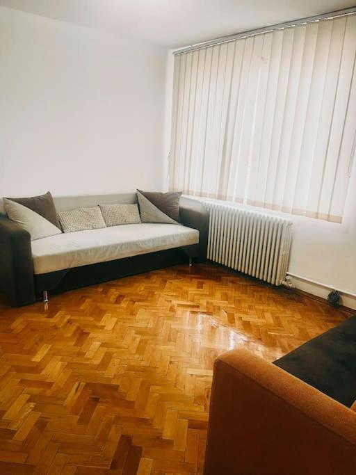 Ultracentral Big Flat Near The Opera Square P17 Timişoara Exterior foto