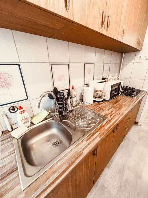 Ultracentral Big Flat Near The Opera Square P17 Timişoara Exterior foto
