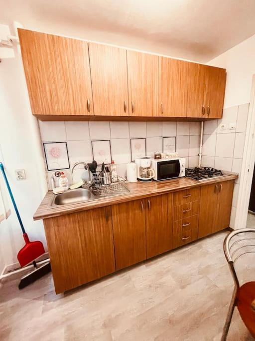 Ultracentral Big Flat Near The Opera Square P17 Timişoara Exterior foto